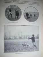 1901 COURSING Greyhound racing Waterloo Cup ::: magazine photos 4O