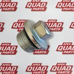 Yamaha Grizzly 660 2003-2008  Rear Diff Differential Fill Bolt Plug