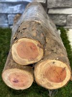 20 Year Air Dried Yew Wood Log X3 - 136