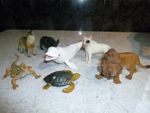 COLLECTA ANIMALS INCLUDING WOLF LION BULL TERRIER AND MORE