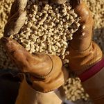 6mm Domestic wood pellets. 15kg