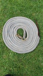 Genuine Parelli 22ft Long Line/training Aid