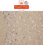 Oyster Shell Sand Grit Cage Bird Aviary Mineral Crushed Supplement Budgie Canary