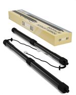 Power Liftgate Struts RX350 RX450h 2016-2019 Left Right OEM