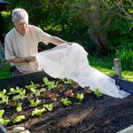 Harrier Garden Plant Fleece [11x Sizes] | HORTICULTURAL GARDEN COVERS - 17/30gsm