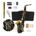 Professional Alto Saxophone Eb Key with Hard Case and Cleaning kit for Students