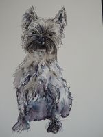 Drawing Westie dog West Highland terrier  sitting
