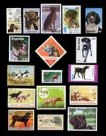 GERMAN SHORTHAIRED POINTER GSP DOG INTERNATIONAL POSTAGE STAMPS x 17 different