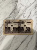 Antique Stereoview Card Innocence Child Cat Kitty Chamber Pot Doll Bed c 1890