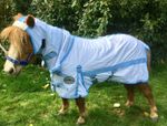 MINI SHETLAND/SHETLAND/SMALL PONY WHITE FLY RUGS 3'0" TO 5'3" FROM TOP HORSE UK