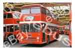 Bus Photograph EASTERN COUNTIES NBC NAG 591G [VR328]