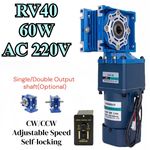60W 0.1RPM to 5RPM AC 220V Two Stage Worm Gear Reducer Gearbox Motor Gearmotors