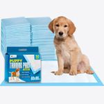 50 x DryEase Extra Large Puppy Pads 60x90cm Disposable Puppy Training Pads