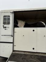 Large Equi-Trek Show Treka Trailer 2010 small living 2 17hh horses tack area