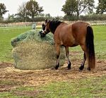 Large Green Round Bale Hay Net / Hay Bag for Horses ROUND BALE NET