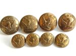 8x VINTAGE PSSCA PUBLIC SECONDARY SCHOOL CADET ASSOC BRASS UNIFORM BUTTONS