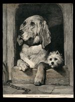 BLOODHOUND WEST HIGHLAND WHITE TERRIER VINTAGE DOG ART ENGRAVING Edwin Landseer