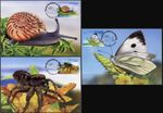 Azores 2023 Terrestrial Fauna of the Azores (Maxi Cards Set. Mint)