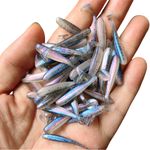 50 Micro T-tail Soft 3.5/4/5 CM 0.35/0.45/1 G Worm Artificial Bait Fishing Lure