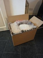 womans shein bundle 25 items brand new in original packaging size 8-10