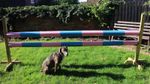EQUESTRIAN HORSE JUMP POLE SLEEVE COVERS, X 2, PINK & LIGHT BLUE, STRONG, 3MT,