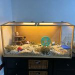 Large Wooden Hamster Cage with Double Skylight Doors Spacious Small Animal Habit