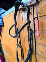 Bespoke Black Leather Bridle Full Size