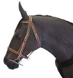 Official Libby's Endurance Bridle Small Pony Pony Cob Full Extra Full Horse
