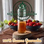 Kombucha SCOBY "Organic  Starter Culture" Liquid + Instructions + Q&A, XL:  10cm