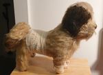 Antique Plush Dog With Wood Wool.Black Fixed Ears.eyes Missing.F14