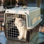New Large Pet Carrier Cat Puppy Travel Cage Dog Carry Basket Transporter Box