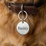 Deep Engraved Pet ID Tag Stainless Steel Dog Cat Collar Disc Custom Name Charm