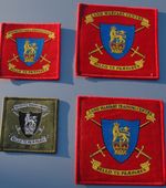 British Army - Training Units - Sew On Patch