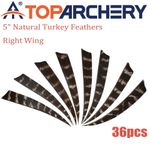 36pcs 5" Archery Arrow Fletching Natural Color Right Wing Shield Shape Feather