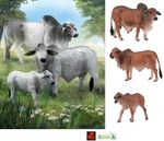 Brahman Cattle Grey or Red Cow Toy Model Figures by CollectA Bull Cow Calf NEW