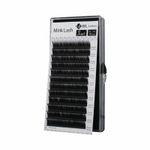 BL Lashes Faux Mink Individual Classic/Volume Eyelash Extensions 