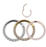 Titanium CZ Crystal Septum Clicker Hinged Segment Hoop Ear Cartilage Nose Rings