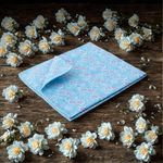 Raypath NanoSilver Technology SUNBEAM CLEANERS CLOTH BLUE whit NANOSILVER