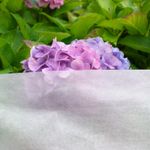 50gsm Heavy Duty Plant Protection Fleece Fabric