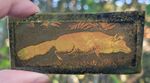 Stained glass traditional painted permanently kiln fired amber glass piece