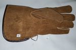 Falconry Glove Single Layer (X-Large Size, Sandy Colour) Suede Leather 12" Long