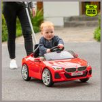 BMW Z4 Push Along Ride On Buggy Car Gift for Children Toddlers - Max Weight 23kg