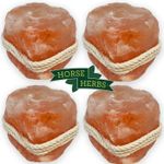 4 x Horse Herbs Himalayan Salt Lick for Horses 1kg with Rope, Natural Supplement