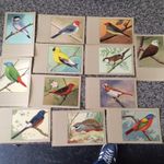 Sluis Bird Foods Vintage Post Cards Sluis Post Cards Cage Bird post card 