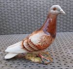 Beswick Racing Pigeon Rare Red Gloss 3 Stripe Vintage Model No.1383