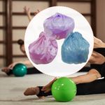 Rhythmic Gymnastic Ball Bag Nylon Protection Cover for Classroom Performance