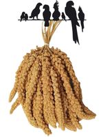 Premium Millet Spray Springs Bird Treat Budgie Canary Cockatiel Finch Parrot