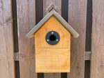 Bird Nest Box Protection Plate Hole Reducers 25 26 27 28 30 32mm 29 [80 Options)