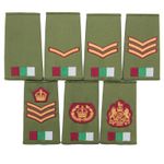 ROYAL ARMY MEDICAL SERVICE OLIVE RANK SLIDES- SOLD IN PAIRS