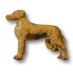Rhodesian Ridgeback Pin - 24K Gold Plated
